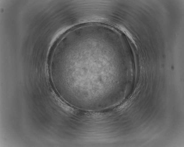 X0000075831072200609221634