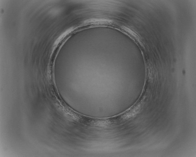 X0000075831074200609221634