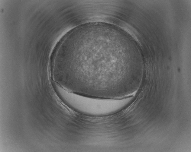 X0000075831076200609221634