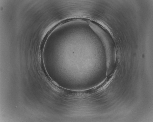 X0000075831077200609221634