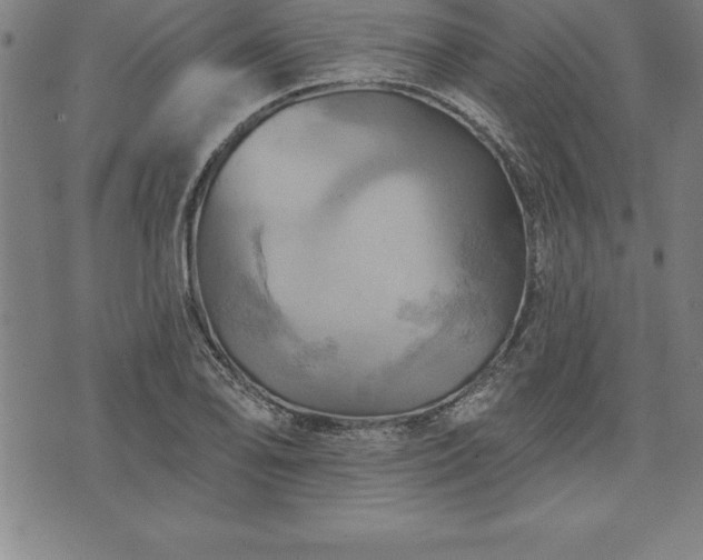 X0000075831078200609221634