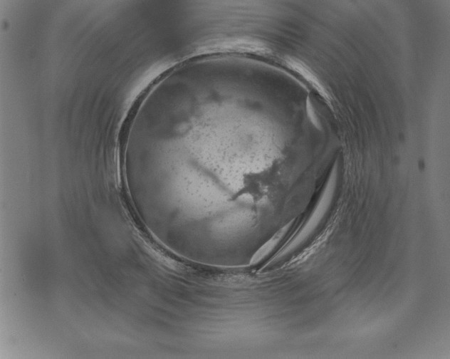 X0000075831079200609221634