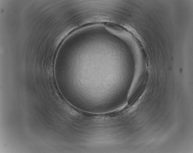 X0000075831081200609221634