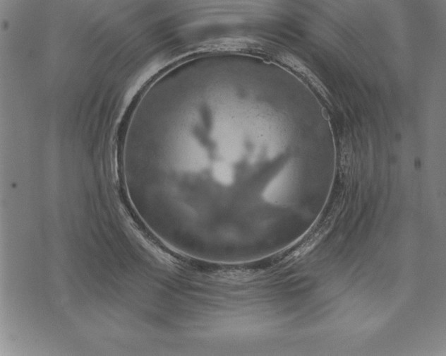 X0000075831083200609221634