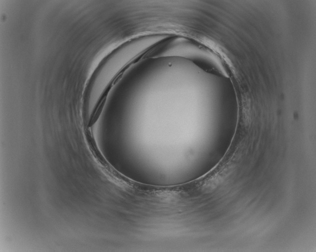 X0000075831085200609221634