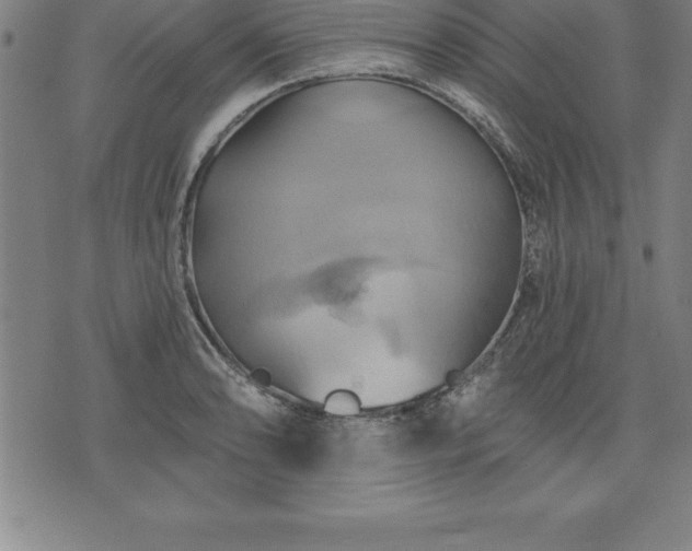 X0000075831086200609221634