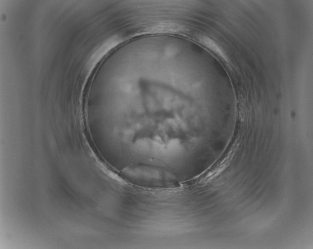 X0000075831087200609221634