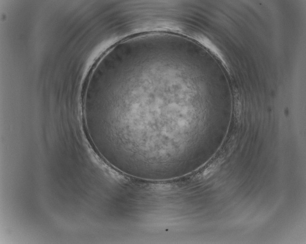 X0000075831088200609221634