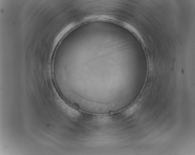 X0000075831090200609221634