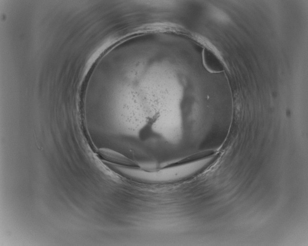 X0000075831091200609221634