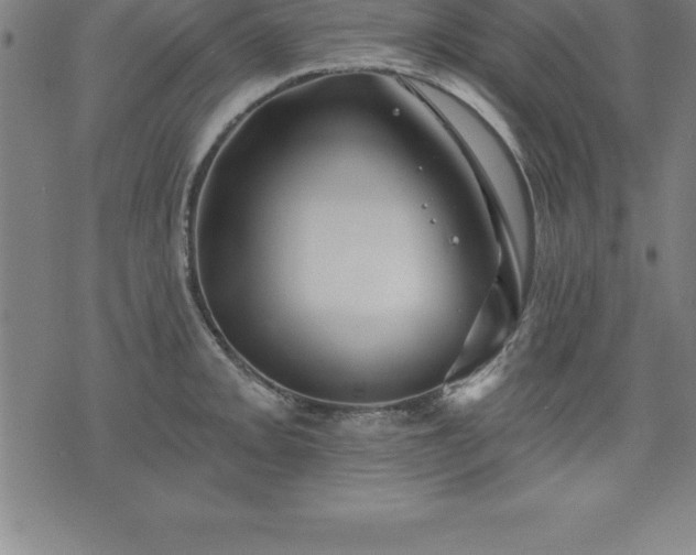 X0000075831093200609221634