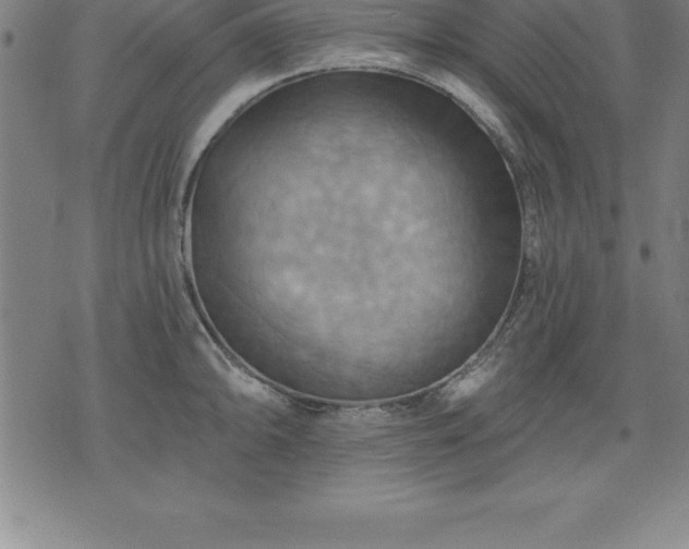 X0000075831094200609221634