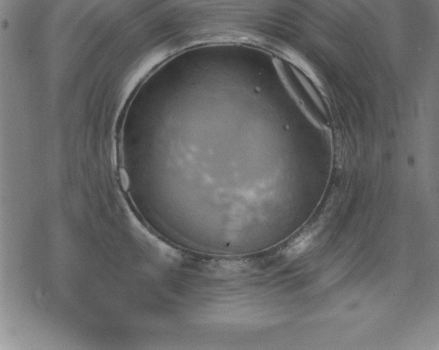 X0000075831095200609221634