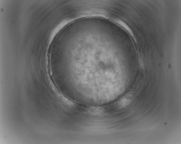 X0000075831096200609221634