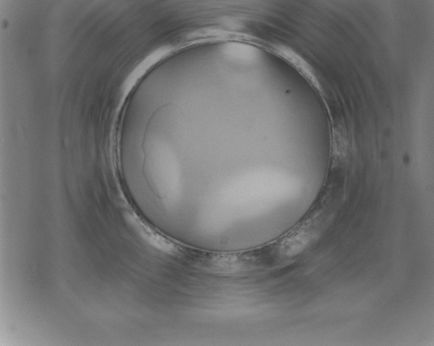 X0000075831098200609221634