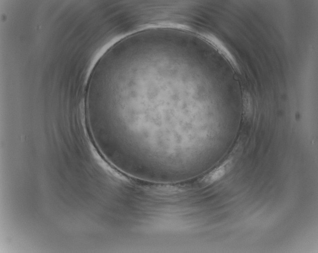 X0000075831100200609221634