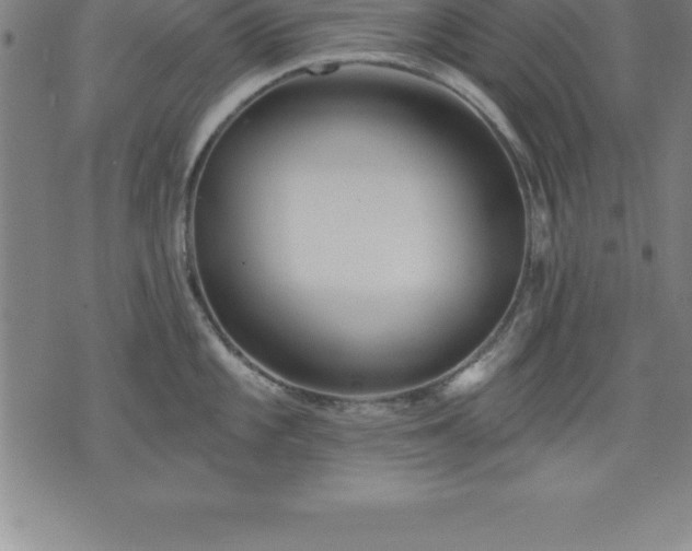 X0000075831101200609221633