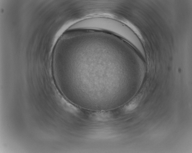 X0000075831102200609221633