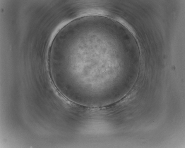 X0000075831104200609221633