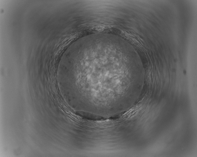 X0000075831105200609221633