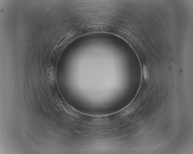 X0000075831107200609221633