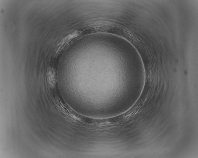 X0000075831108200609221633