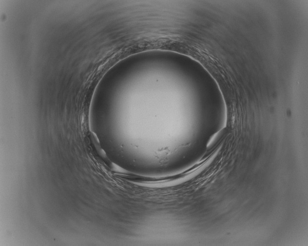 X0000075831109200609221633