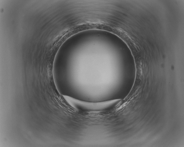 X0000075831110200609221633