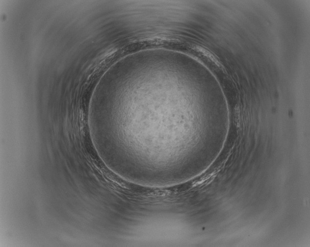 X0000075831111200609221633