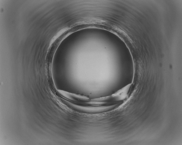 X0000075831114200609221633