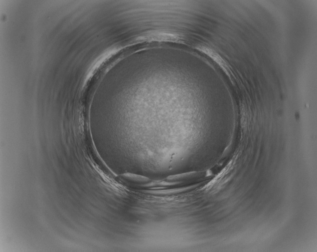 X0000075831115200609221633