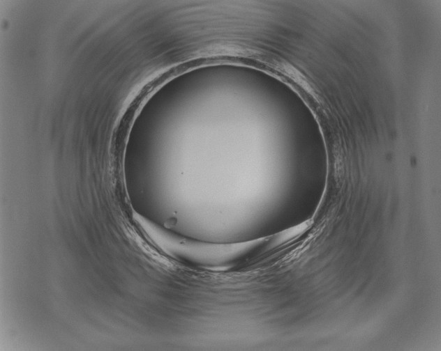 X0000075831116200609221633