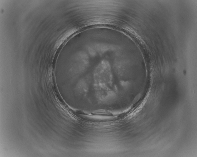 X0000075831121200609221633