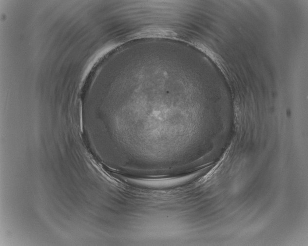 X0000075831123200609221633