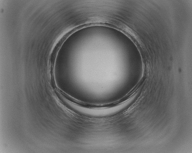 X0000075831124200609221633