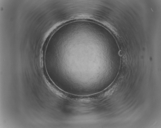 X0000075831126200609221633