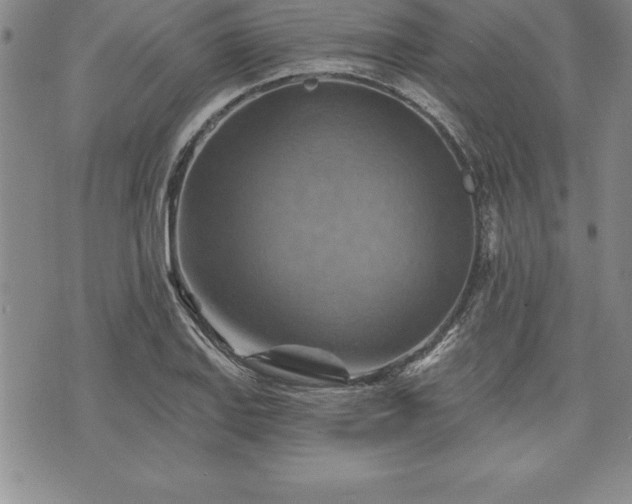 X0000075831127200609221633