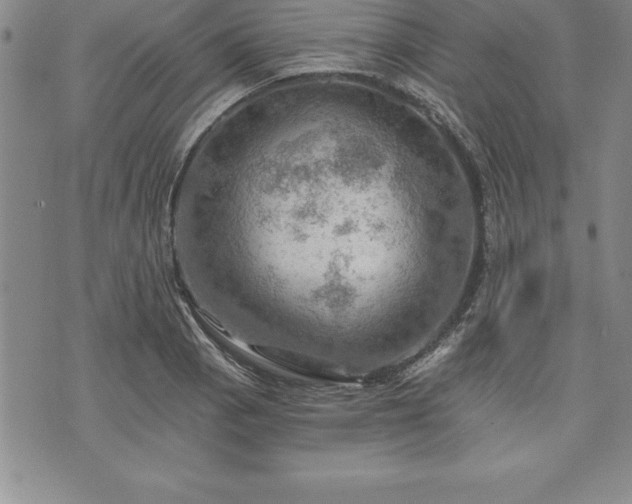 X0000075831129200609221633