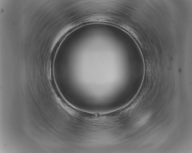 X0000075831131200609221633