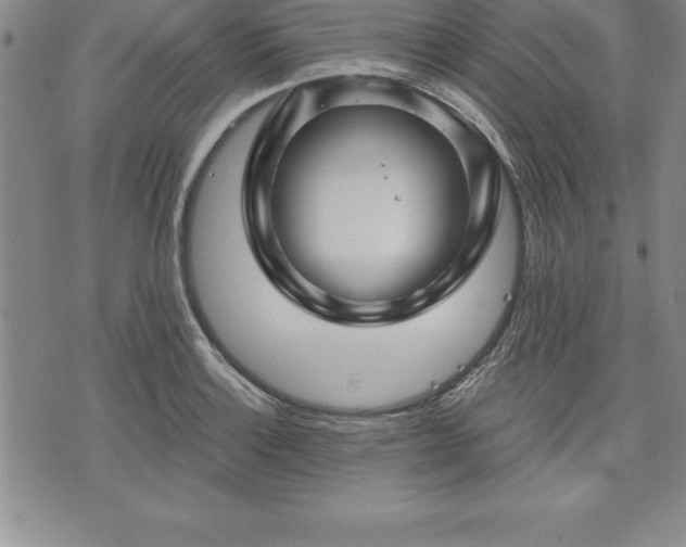 X0000075831132200609221633