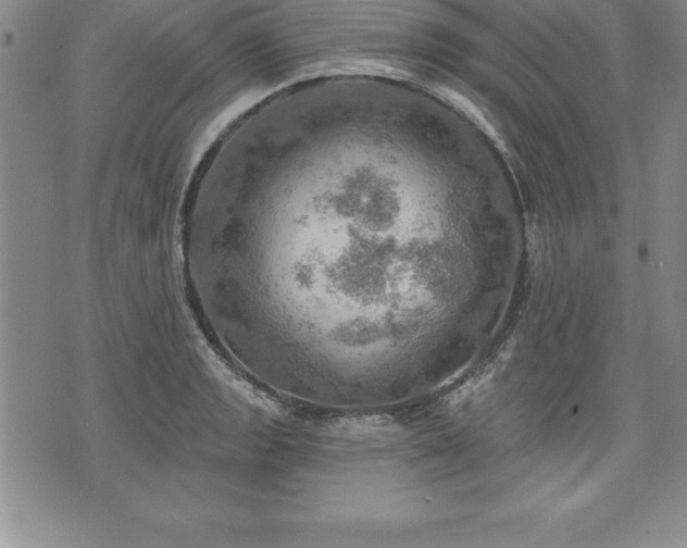 X0000075831133200609221633