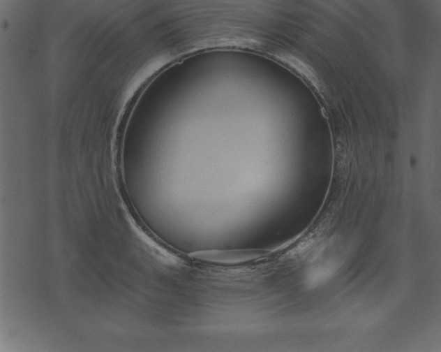 X0000075831135200609221633