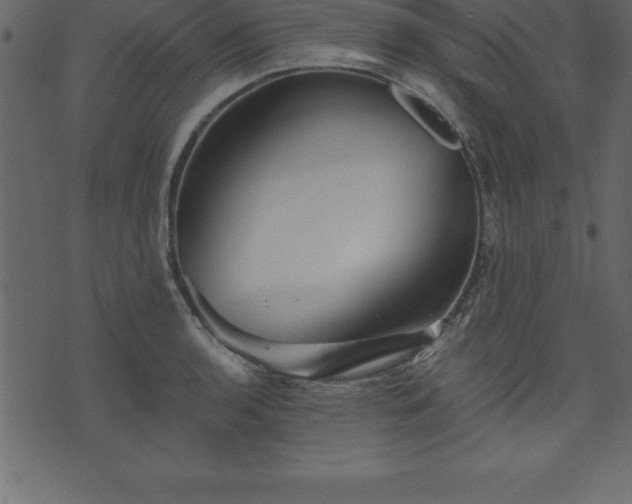 X0000075831136200609221633