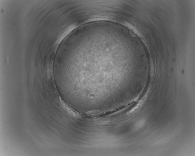 X0000075831137200609221633