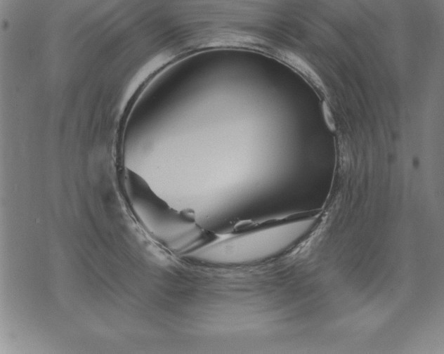 X0000075831138200609221633