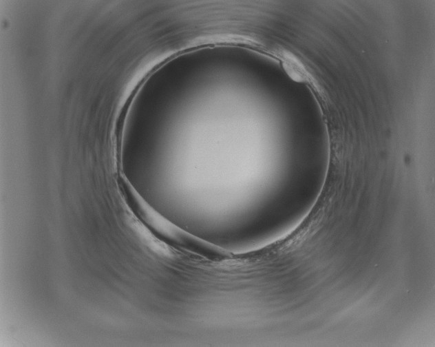 X0000075831140200609221633