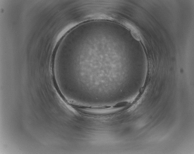 X0000075831141200609221633