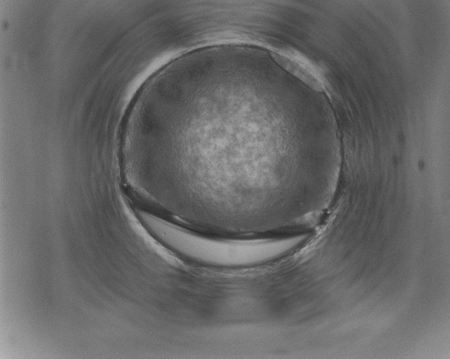 X0000075831142200609221633