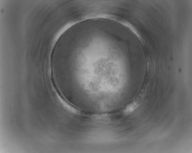 X0000075831143200609221633