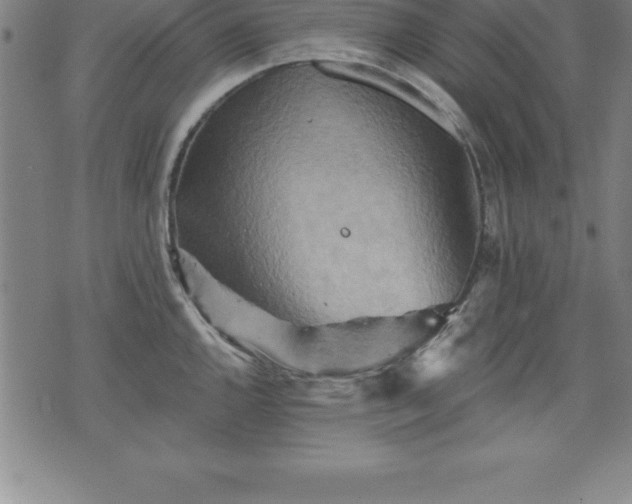 X0000075831144200609221633